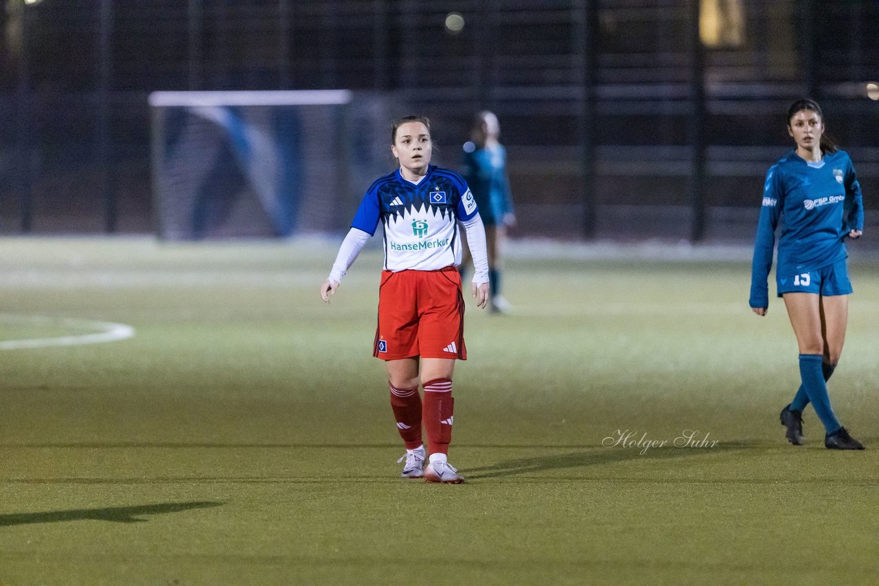 Bild 141 - F SC Alstertal-Langenhorn - Hamburger SV 3 : Ergebnis: 2:2